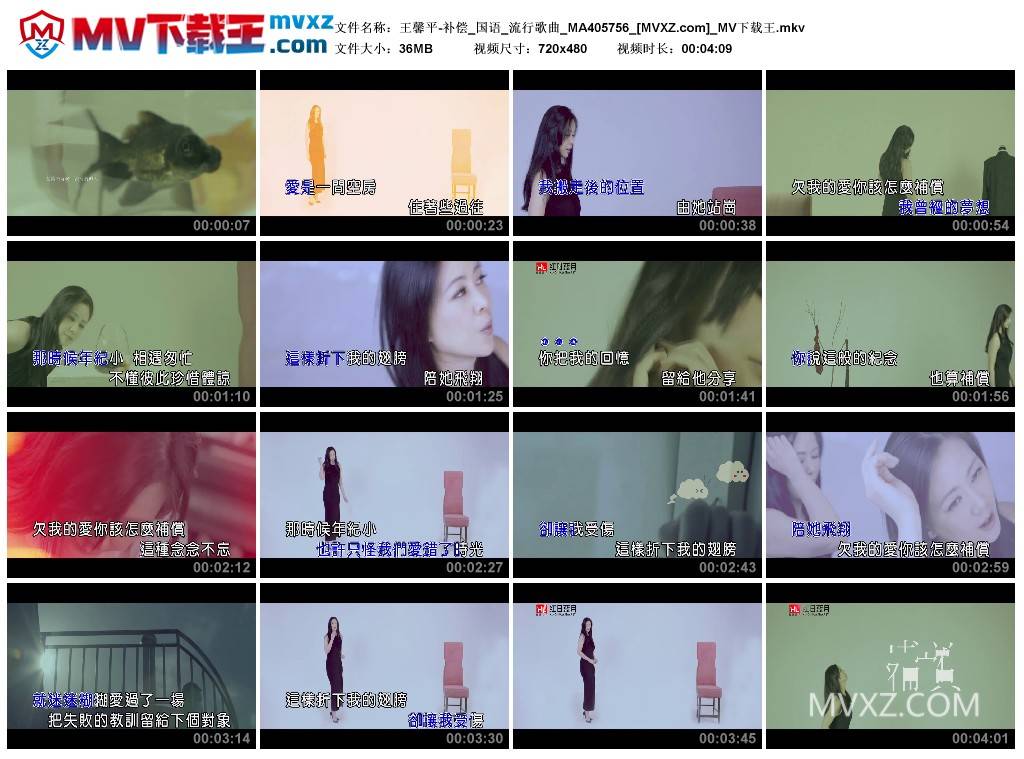 王馨平-补偿_国语_流行歌曲_MA405756